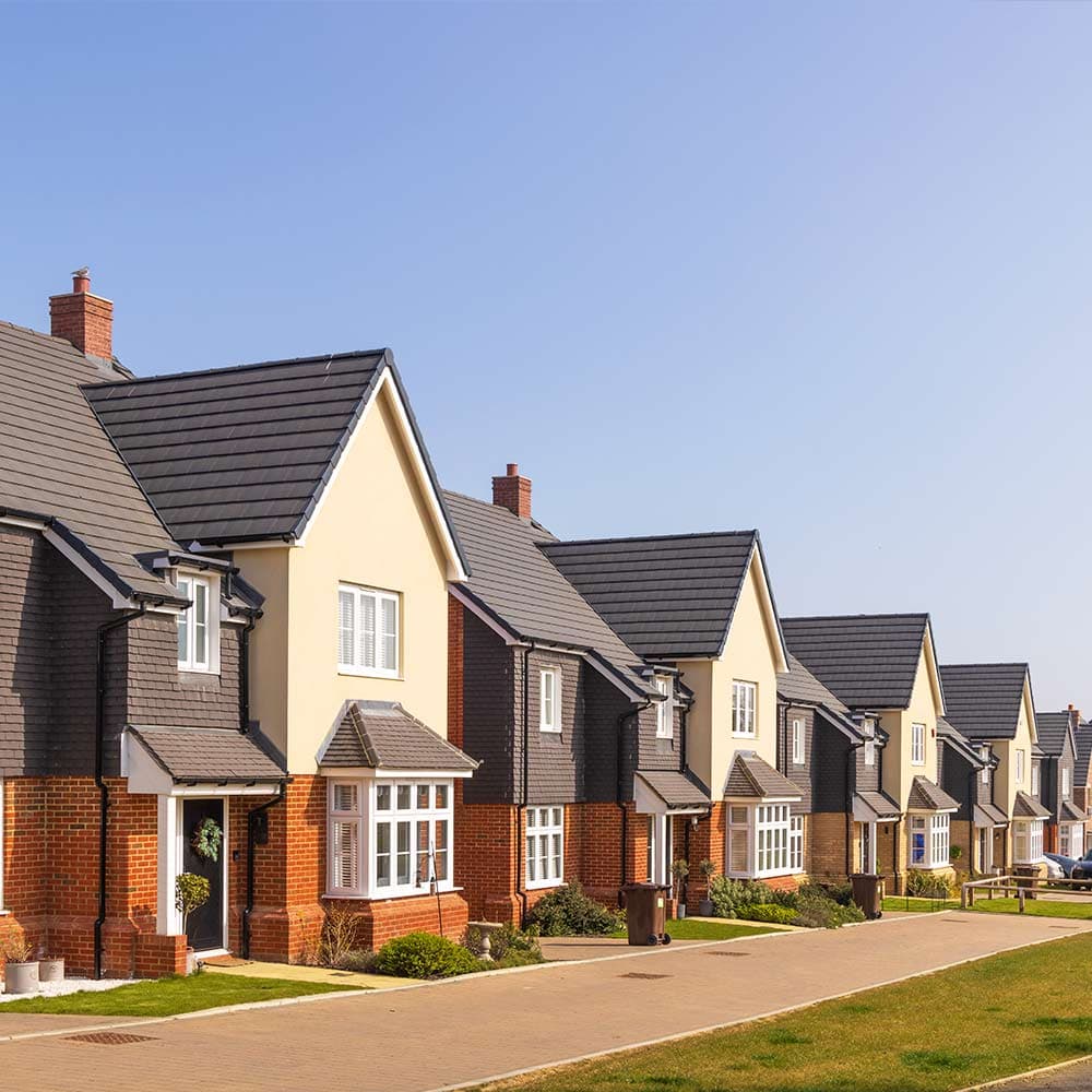 <span style="font-size:50px;">Land & New Homes Expertise</span>